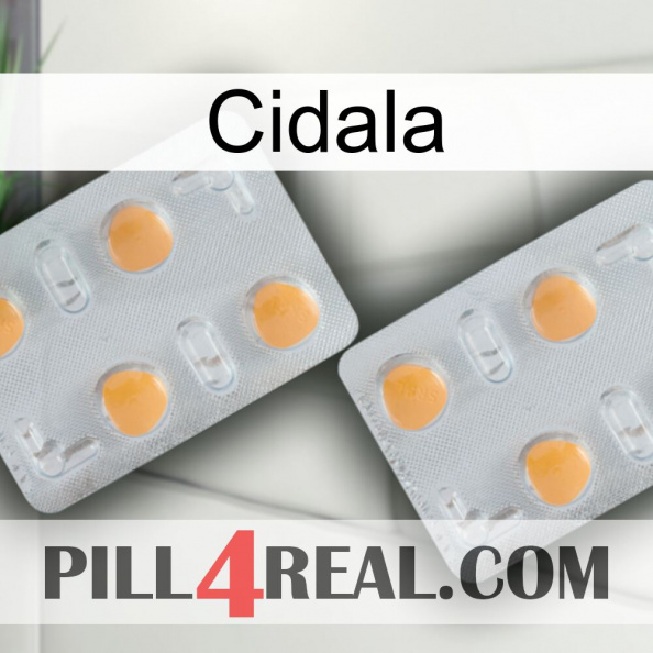 Cidala 25